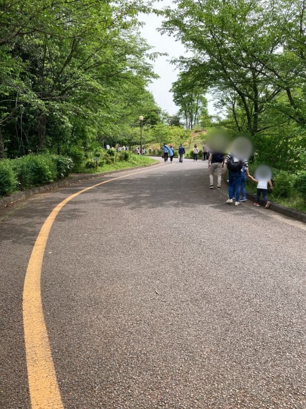 斜面が急な坂