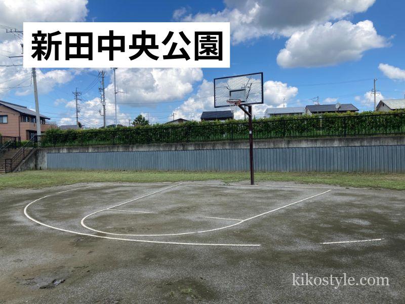 雨が降った後の新田中央公園のバスケットゴールコート