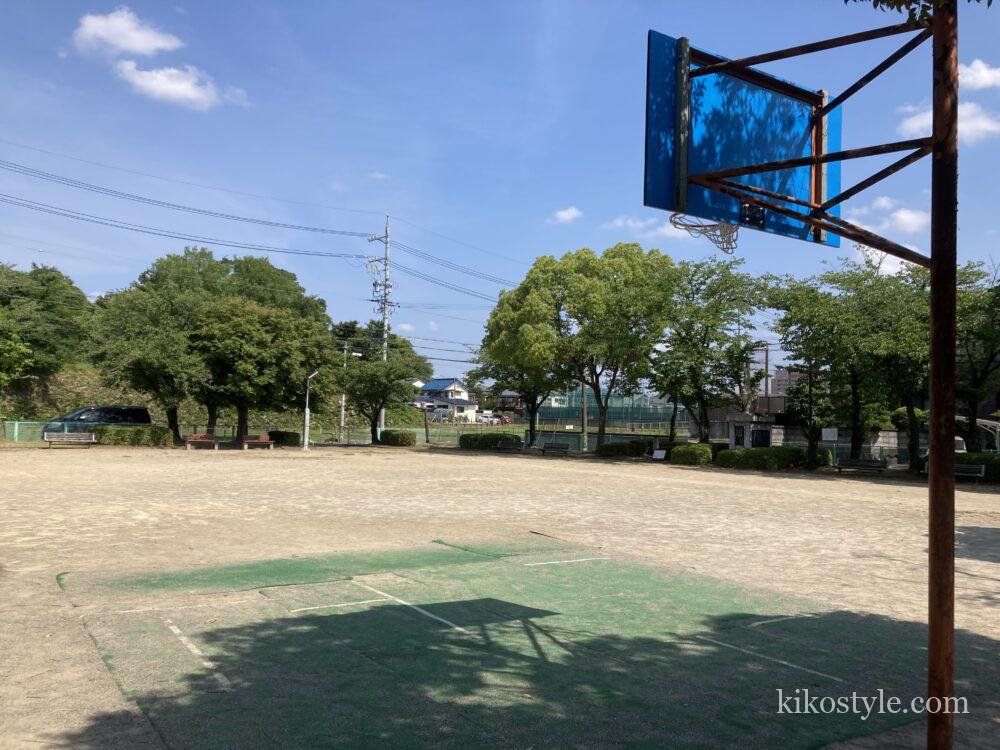 加納公園の斜め後ろから撮ったバスケットゴール