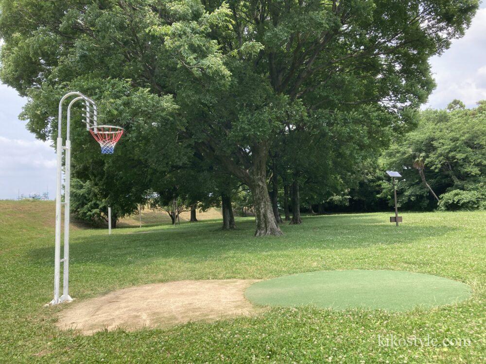 境川緑道公園の真横から撮ったバスケットゴール