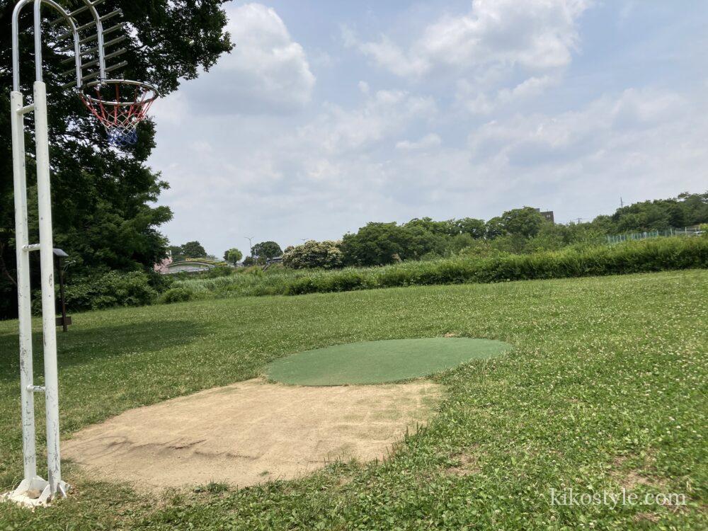 境川緑道公園の斜め後ろから撮ったバスケットゴール