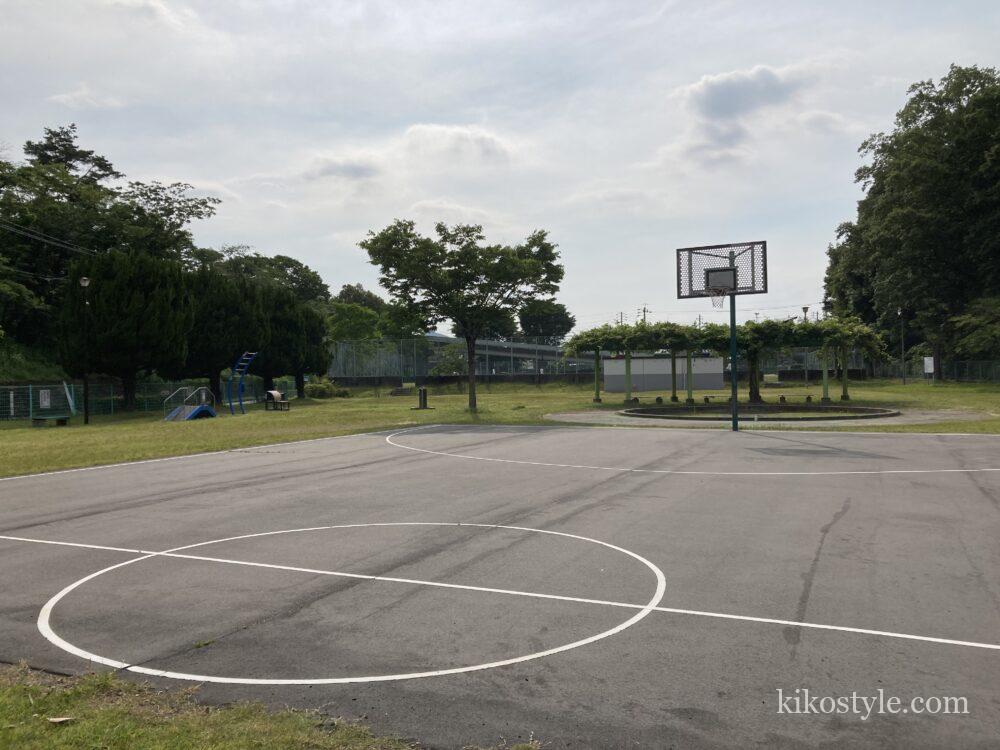 大洞緑公園の斜め前から撮ったバスケットゴール