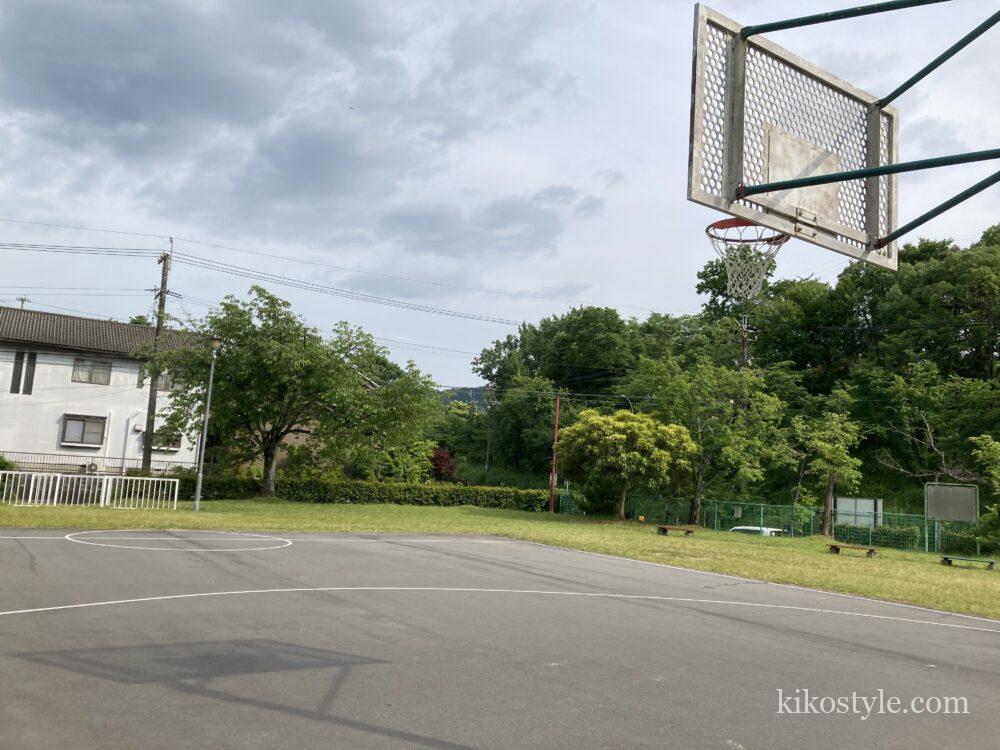 大洞緑公園の斜め後ろから撮ったバスケットゴール