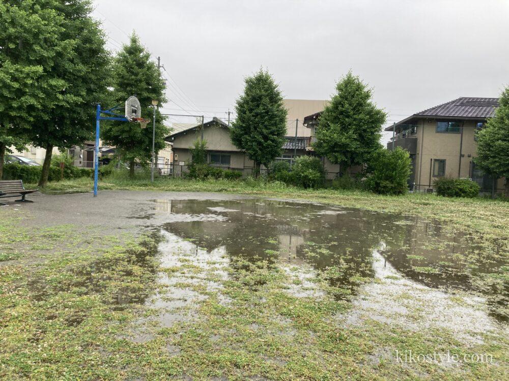 福光公園の雨が降ったあとのバスケットゴール付近